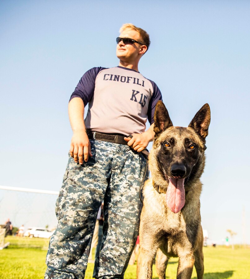 A military working dog stands with his handler at the National Night Out event aboard Naval Air Station Sigonella, Italy, Aug. 5, 2014. Italian and Navy handlers held a demonstration to highlight some of the capabilities of their animals. Marines and Sailors with the second iteration of SP-MAGTF Africa 14 participated in the event with a static display of weapons, an Explosive Ordnance Disposal robot, and two vehicles organic to the Marine Corps. SP-MAGTF Africa continues to build relationships with the community while simultaneously strengthening U.S. Africa Command and U.S. Marine Corps Forces Africa’s ability to assist partner nations in addressing security challenges in the region. (U.S. Marine Corps photo by Cpl. Shawn Valosin)