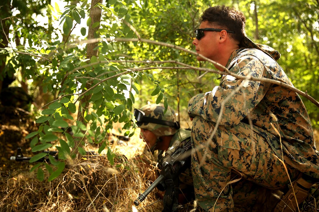United States Marine Corps Cpl. Shaun Lobene, an infantryman with Black Sea Rotational Force 14.2, from 3rd Battalion, 8th Marine Regiment, and an Azeri soldier watch an enemy patrol pass by during patrol base operations as part of exercise Platinum Wolf 14 aboard Borovac Training Area, Serbia, July 8, 2014. This is the first iteration of the Platinum Wolf exercise, hosted by Serbia, with members of the Serbian, Croatian, Bulgarian, Romanian, Azerbaijani, Macedonian and United States militaries participating in the exercise. The exercise focused on non-lethal system training and peacetime operations in order to foster greater interoperability with each other while promoting peace and prosperity in the Black Sea, Balkan and Caucasus regions of Eastern Europe. (Official Marine Corps photo by Lance Cpl. Scott W. Whiting, BSRF PAO/ Released)