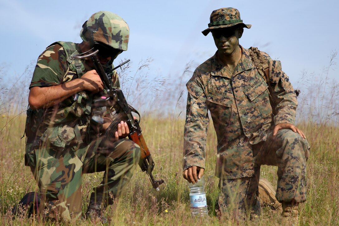 United States Marine Corps Cpl. Jonathon Mahler, a squad leader with Black Sea Rotational Force 14.2, from 3rd Battalion, 8th Marine Regiment, works with an Azeri soldier while executing patrol base operations as part of exercise Platinum Wolf 14 aboard Borovac Training Area, Serbia, July 8, 2014. This is the first iteration of the Platinum Wolf exercise, hosted by Serbia, with members of the Serbian, Croatian, Bulgarian, Romanian, Azerbaijani, Macedonian and United States militaries participating in the exercise. The exercise focused on non-lethal system training and peacetime operations in order to foster greater interoperability with each other while promoting peace and prosperity in the Black Sea, Balkan and Caucasus regions of Eastern Europe. (Official Marine Corps photo by Lance Cpl. Scott W. Whiting, BSRF PAO/ Released)