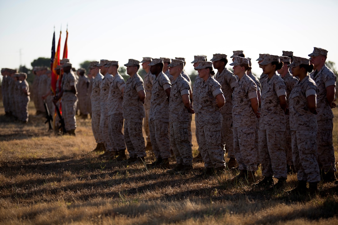 U.S. Marines and Sailors with Special Purpose Marine Air- Ground Task Force Crisis Response (SPMAGTF-CR) stand parade rest in formation during a transfer of authority ceremony aboard Moron Air Base, Spain, Aug 8, 2014. The purpose of the ceremony was to conduct a proper transition of the SPMAGTF-CR command element from 8th Marine Regiment to the 26th Marine Expeditionary Unit. (U.S. Marine Corps photo by Lance Cpl. Andre Dakis, 26th MEU Combat Camera/Released)