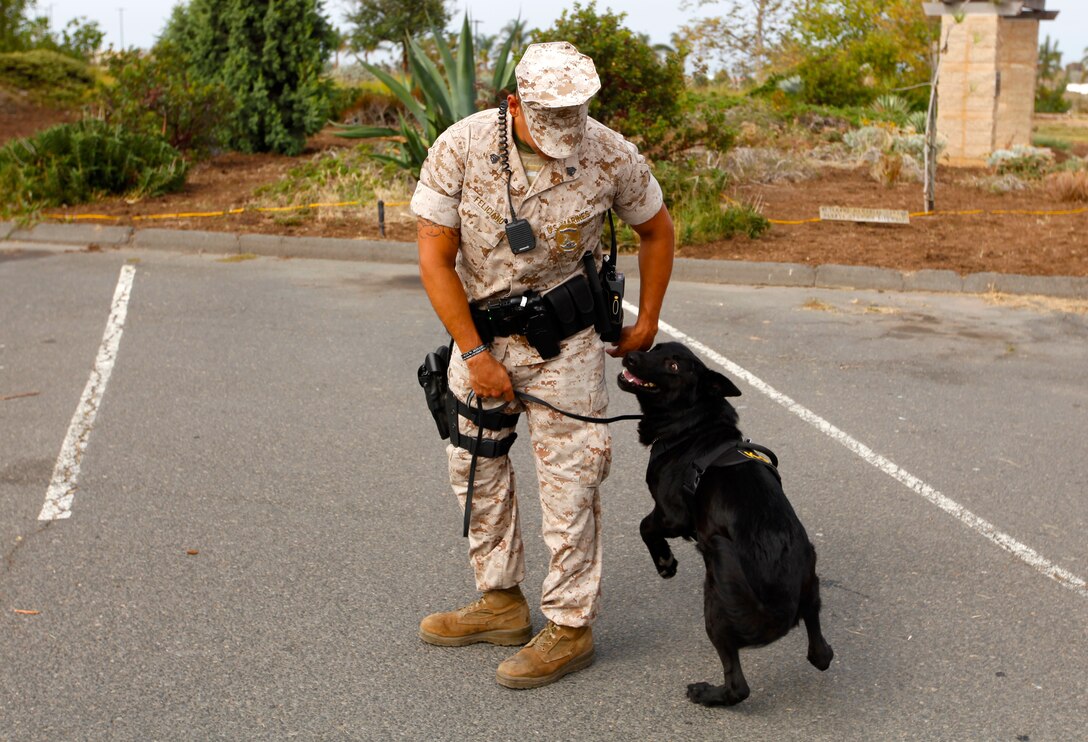Sgt. Stevens Filiciano, a military working dog handler with Marine Corps Police Department Camp Pendleton K-9 Unit, plays with his dog Robi at a memorial to honor dog handlers at Pacific Views Event Center's Memorial Garden here, Aug. 9.  The Dawgs Project, a company dedicated to military working dog handlers of all services, unveiled a memorial to commemorate K-9 handling service members.