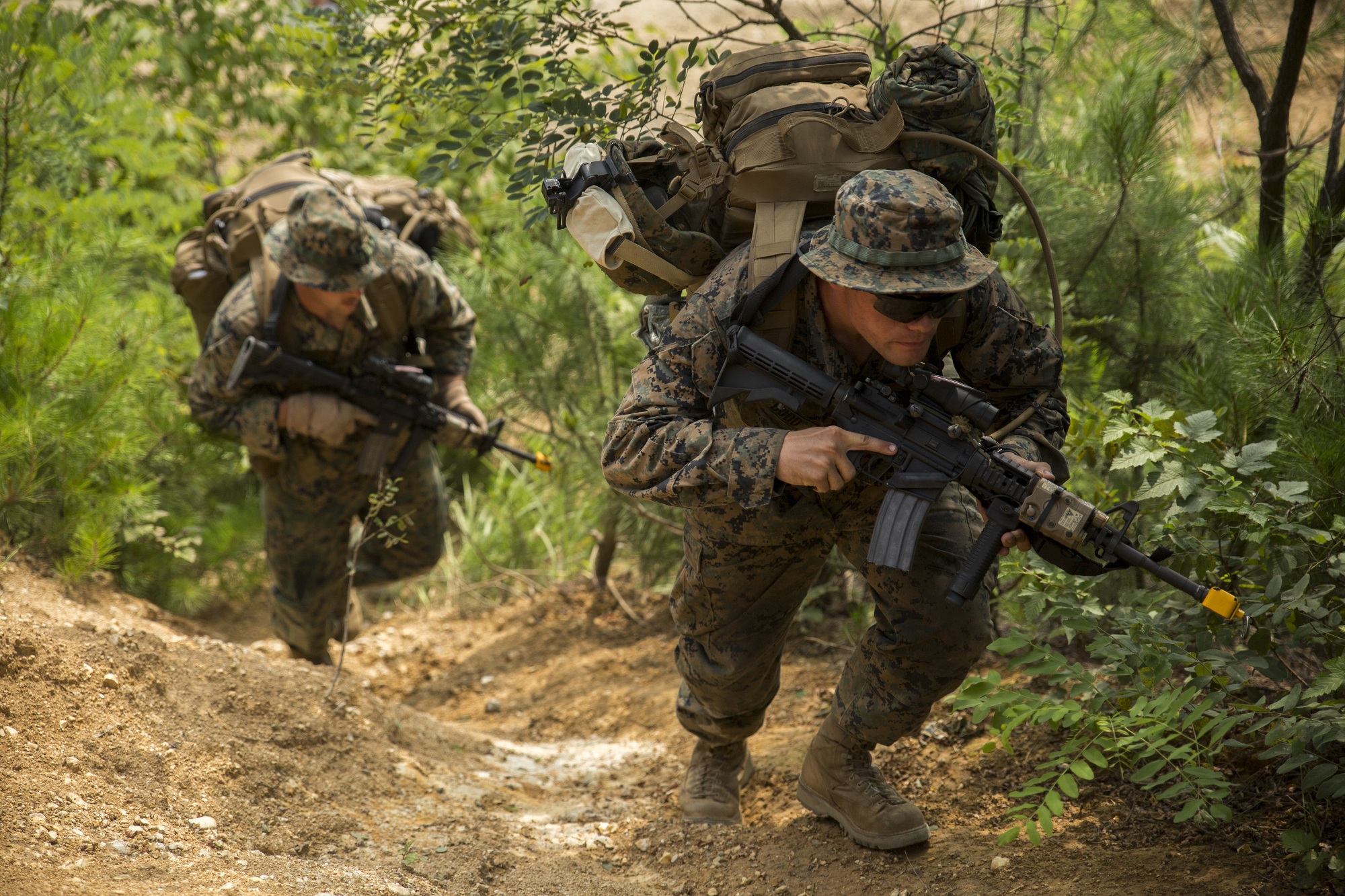 Jungle patrol tests ROK, US Marine tactics > Okinawa Marines > News