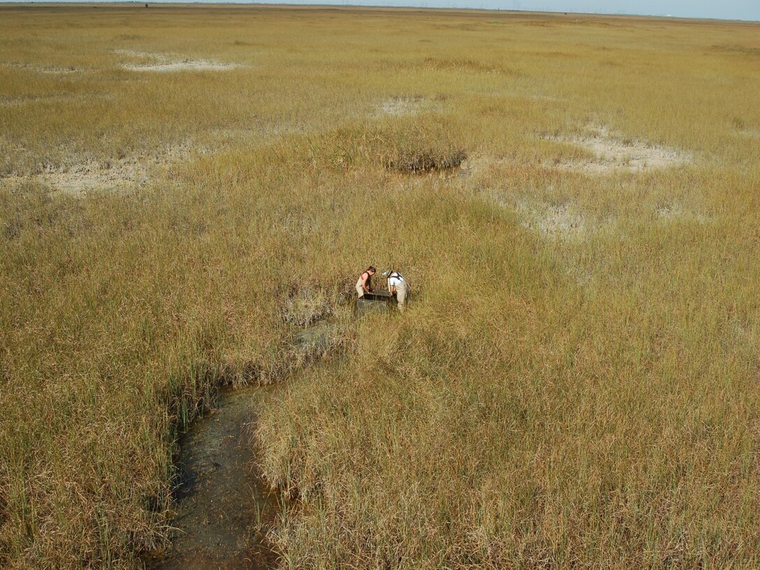 The 2014 System Status Report, a comprehensive report evaluating monitoring data within the Everglades ecosystem is now available online.