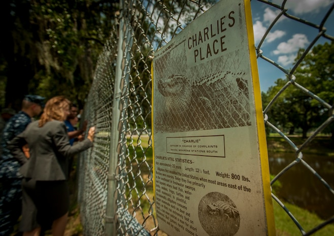 Herschel Walker, legendary former NFL football player, got up close and personal with a local legend and larger than life personality, Charlie the Alligator on Aug. 6, 2014, at the Joint Base Charleston – Weapons Station, S.C. Walker visited the unofficial mascot of Team Charleston at his water-front housing area. The several hundred pound gator has been a fixture at the JB Charleston – Weapons Station since the early 1960s. Walker visited the base to share his story about growing up in Georgia, playing professional football and how he sought help from mental health professionals for his struggles with dissociative identity disorder. Walker spoke and met Sailors and Airmen at both the Weapons Station and Air Base where he met with service members and their families and signed autographs. Walker played college football at the University of Georgia and spent 14 years in the NFL. (U.S. Air Force photo / Senior Airman Tom Brading)
