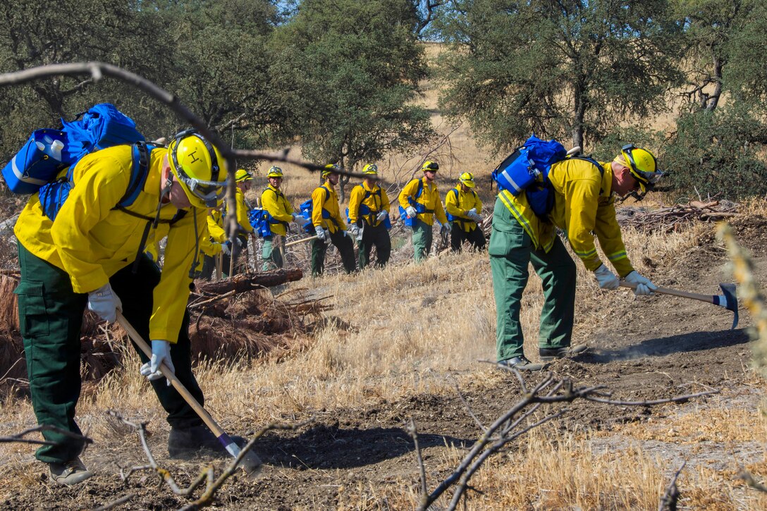 Guardsmen use their hand tools to cut a line during training with California Department of Forestry and Fire Protection personnel on Camp Roberts, Calif., Aug. 7, 2014. Crews use hand tools to cut lines to slow or stop approaching wildfires.