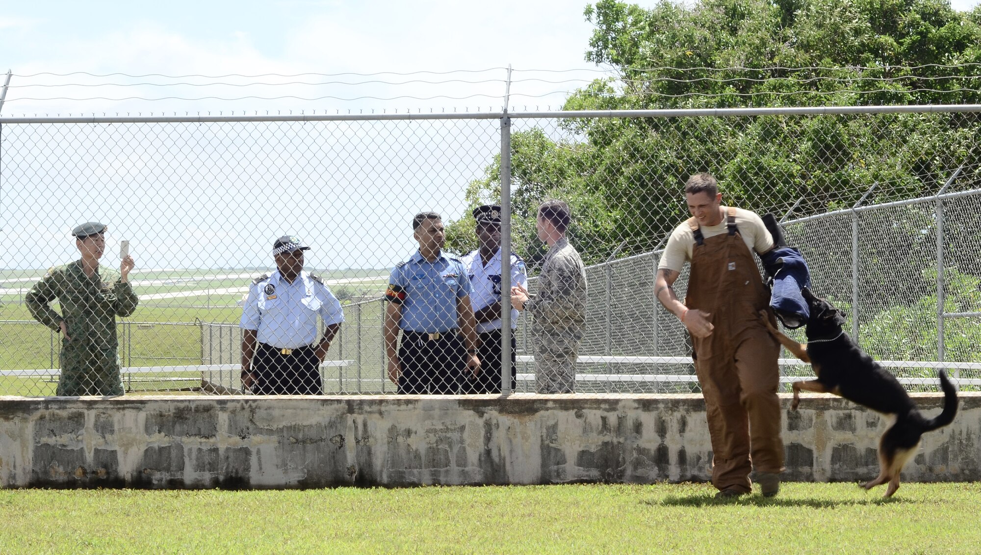 Staff Sgt. William Herron, 36th Security Forces Squadron military working dog handler, is attacked by MWD Johny during a demo for Pacific Defender subject-matter expert exchange participants Aug. 7, 2014, on Andersen Air Force Base, Guam. During the exchange, military and police representatives from Singapore, Vanuatu, Bangladesh and the Maldives toured 36th Contingency Response Group facilities and the 736th Security Forces Squadron. (U.S. Air Force photo by Staff Sgt. Robert Hicks/Released)