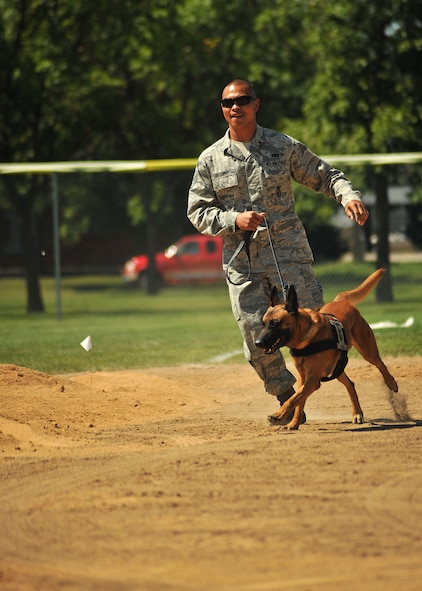 Miitary Working Dog, Llauren and her handler, Staff Sgt. Jesse Aquino, both from the 319th Secruity Forces Squadron,quickly head to the next obstacle during the Iron Dog portionof the North Dakota Peace Officers Association’s K9 Challenge held Aug. 13, 2014, at Apollo Park in the city of Grand Forks, N.D. Aquino and Llauren place third in the patrol maneuvers course. (U.S. Air Force photo/Senior Airman Xavier Navarro)Navarro)