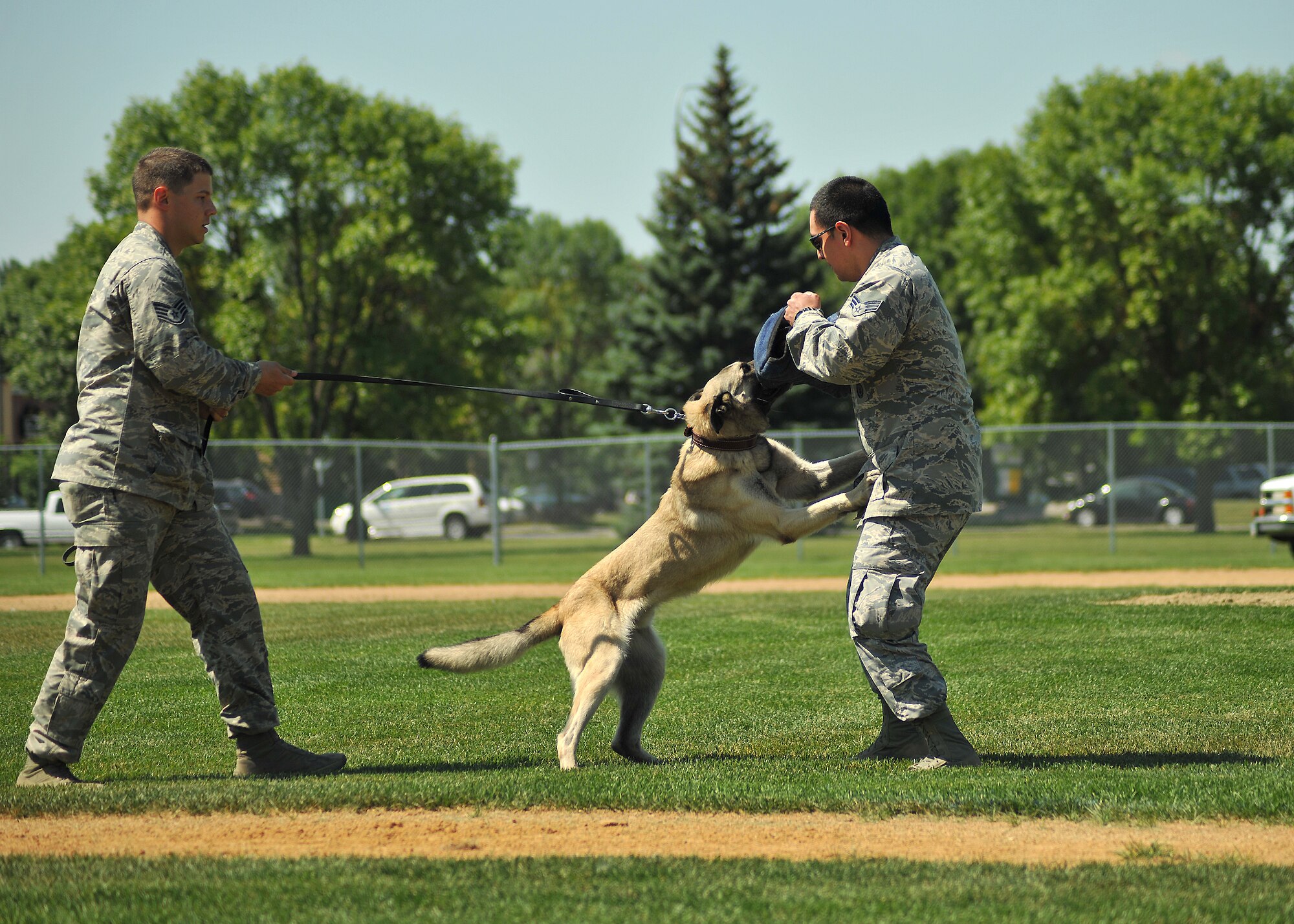 (Left) Staff Sgt. Brett Silmon, 319th Security Forces Squadron military working dog handler, commands his K9 partner, Arco, to attack Senior Airman Oscar Gomez, pretend aggressor, during a patrol maneuver competition at Apollo Park on Aug. 13, 2014 in the city of Grand Forks, N.D. The 319th SFS handlers and MWDs dominated two of the three portions of the North Dakota Peace Officers Association’s K9 Challenge that included K9 teams from around the state. Silmon and Arco placed first in the explosive detection portion of the competition and second in the patrol category. (Senior Airman Xavier Navarro)