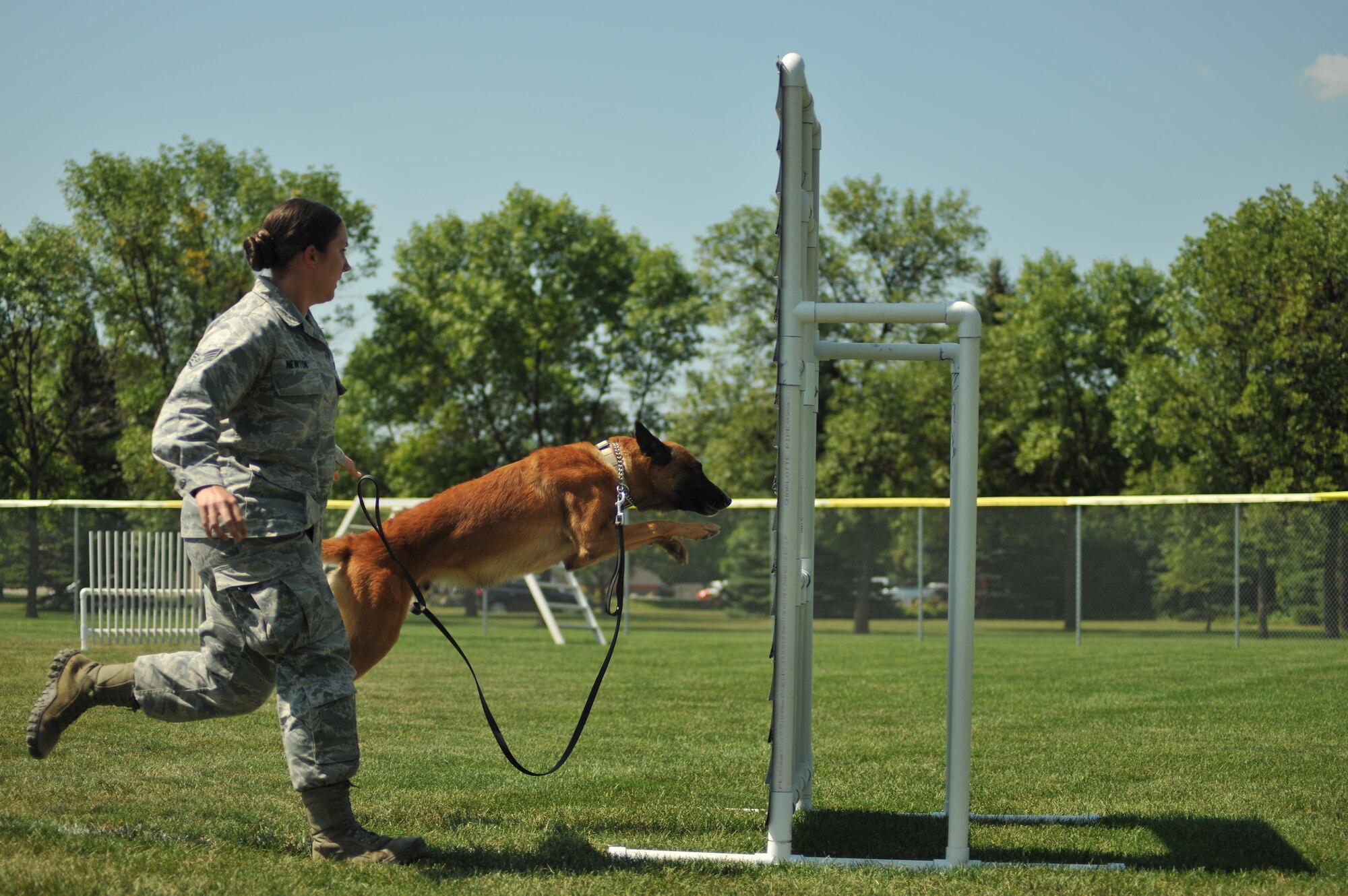 Staff Sgt. Jessica Newton, 319th Security Forces Squadron military working dog handler, guides her K9 partner, T-Rex, through a window hurdle during an Iron Dog Course at Apollo Park on Aug. 13, 2014, in the city of Grand Forks, N.D. The 319th SFS handlers and MWDs dominated two of the three the North Dakota Peace Officers Association’s K9 Challenge, which included K9 teams from around the state. Newton and T-Rex placed first in the patrol category of the competition and second in the explosive detection portion. (Senior Airman Xavier Navarro)