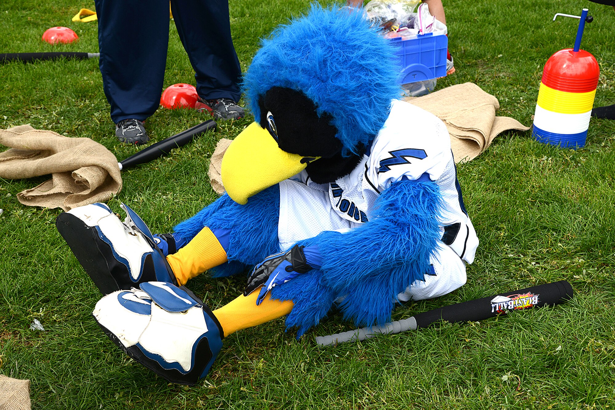The U.S. Air Force Academy Falcon takes a break to catch his breath after competing in a sack race with area youth at the Family Festival and Concert hosted by the 21st Force Support Squadron at Patriot Park Aug. 8. The sack race was just part of the many events available to base personnel and their families, which included food, beverages, inflatables, old fashioned games and live music. (U.S. Air Force photo/Airman 1st Class Rose Gudex)