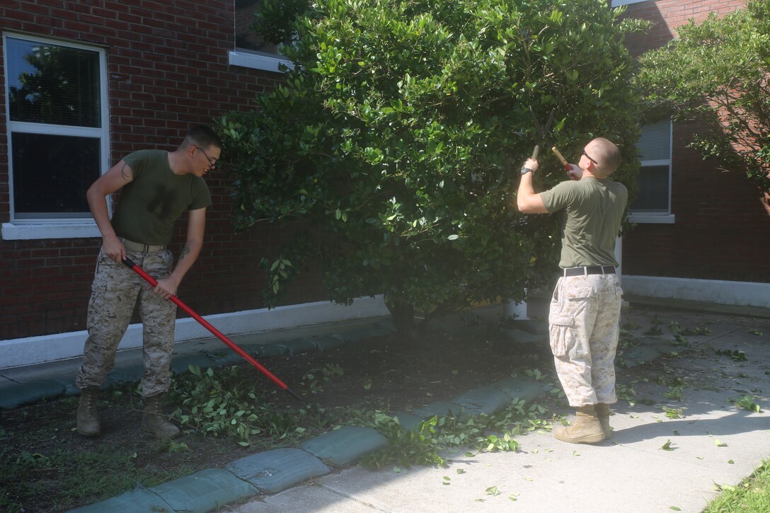 Lance Cpl. Dylan J. Fisher, left, a maintenance management specialist from Harlem, Ga., and Sgt. Blake Southerland, an intelligence specialist from Eastman, Ga., both with the Ground Combat Element Integrated Task Force, 2nd Marine Division, cut and rake up leaves as part of beautifying the GCEITF’s building as the unit stood up July 1, 2014. (U.S. Marine Corps photo by Gunnery Sgt. Matt Epright/Released)  
