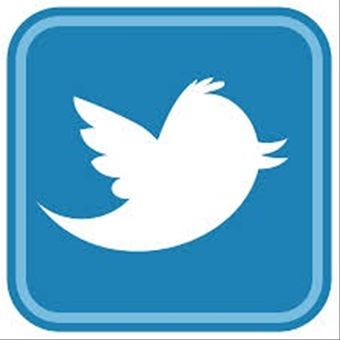 USAF Honor Guard Emblem with Black Border, Historical