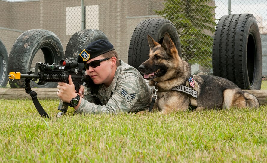 Senior Airman Heather Johnson, 5th Security Forces Squadron military working dog handler, fires blanks during weapons training as her MWD Cyndy lies next to her on Minot Air Force Base, N.D., July 29, 2014. This training allows handlers to familiarize their dogs with the sound of gun fire and gauge what their reaction will be in a combat situation. (U.S. Air Force photo/Senior Airman Stephanie Morris)