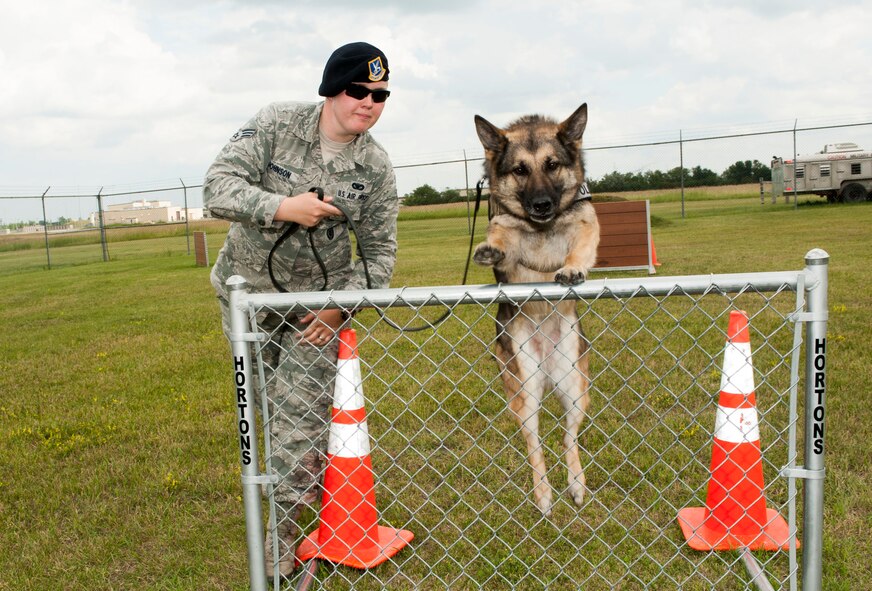 Senior Airman Heather Johnson, 5th Security Forces Squadron military working dog handler, instructs her MWD Cyndy to jump over a hurdle at the MWD obstacle course on Minot Air Force Base, N.D., July 29, 2014. Though Johnson stated she and Cyndy make a strong team, she also explained creating a bond with a K-9 takes a lot of time and effort. The pair usually work 14 to 15 hours a day guarding the base and its assets.  (U.S. Air Force photo/Senior Airman Stephanie Morris)