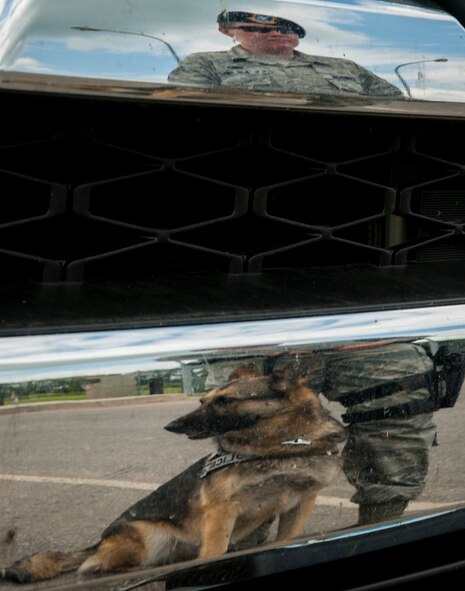 Senior Airman Heather Johnson, 5th Security Forces Squadron military working dog handler, and her MWD Cyndy, wait to conduct a vehicle search at the south gate on Minot Air Force Base, N.D., July 29, 2014. Johnson wanted to become a MWD handler even before she joined the military, and when she was working as a volunteer in the kennels during her deployment to Al-Udeid Air Base, Qatar her goal was reinforced. (U.S. Air Force photo/Senior Airman Stephanie Morris)