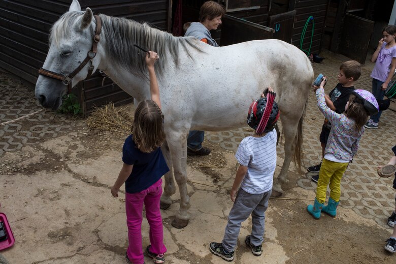 Children in the Exceptional Family Member Program brush a horse’s hair at Spangdahlem, Germany, Aug. 12, 2014. The children learned to clean, feed and ride a horse during their visit. (U.S. Air Force photo by Staff Sgt. Christopher Ruano/Released)