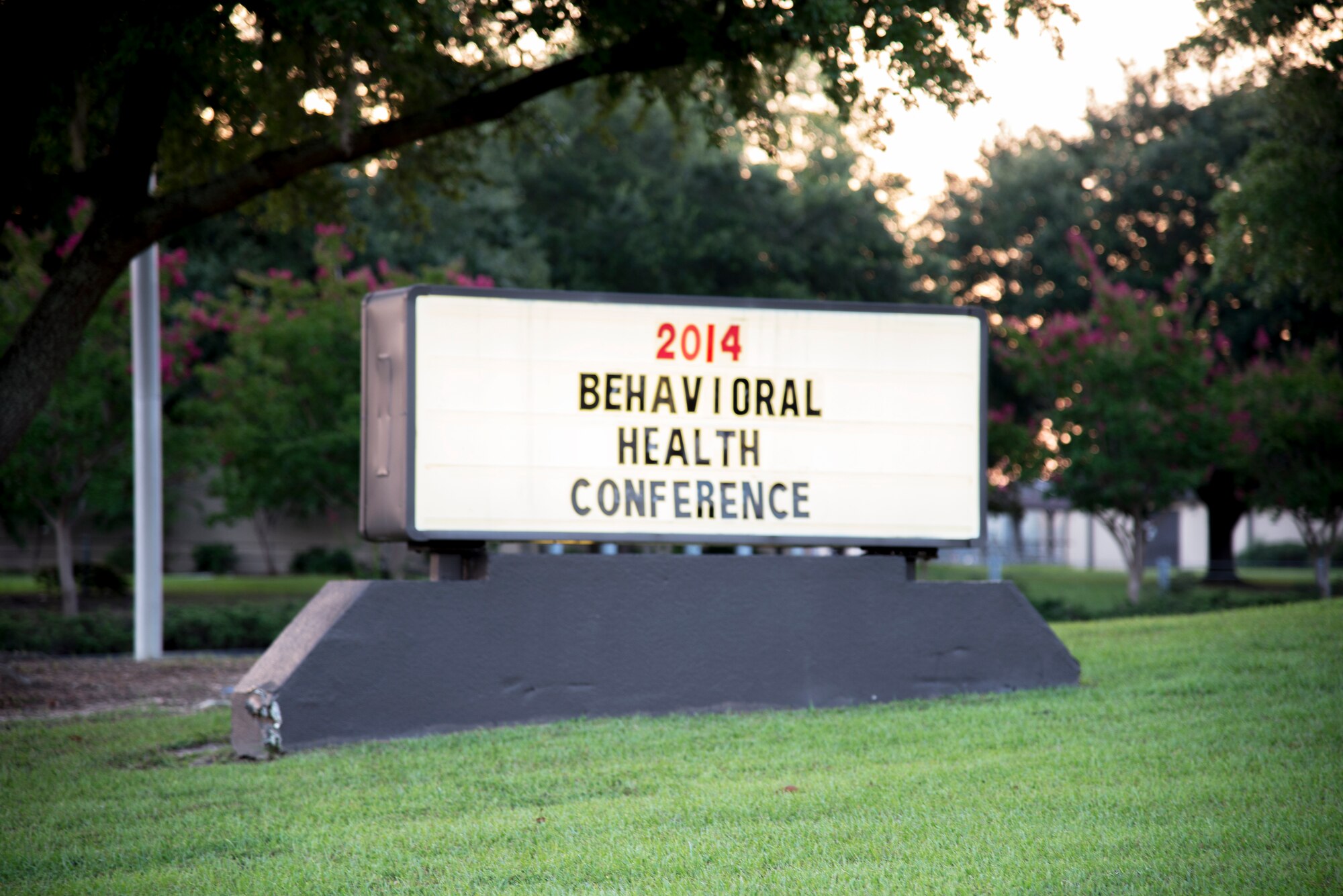The 23d Medical Group mental health flight held the annual Behavioral Health Conference at Moody Air Force Base, Ga., Aug. 14, 2014. Commanders, chief master sergeants and first sergeants learned how to prevent and deal with stressors that may affect their Airmen. (U.S. Air Force photo by Airman 1st Class Sandra Marrero/ Released)
