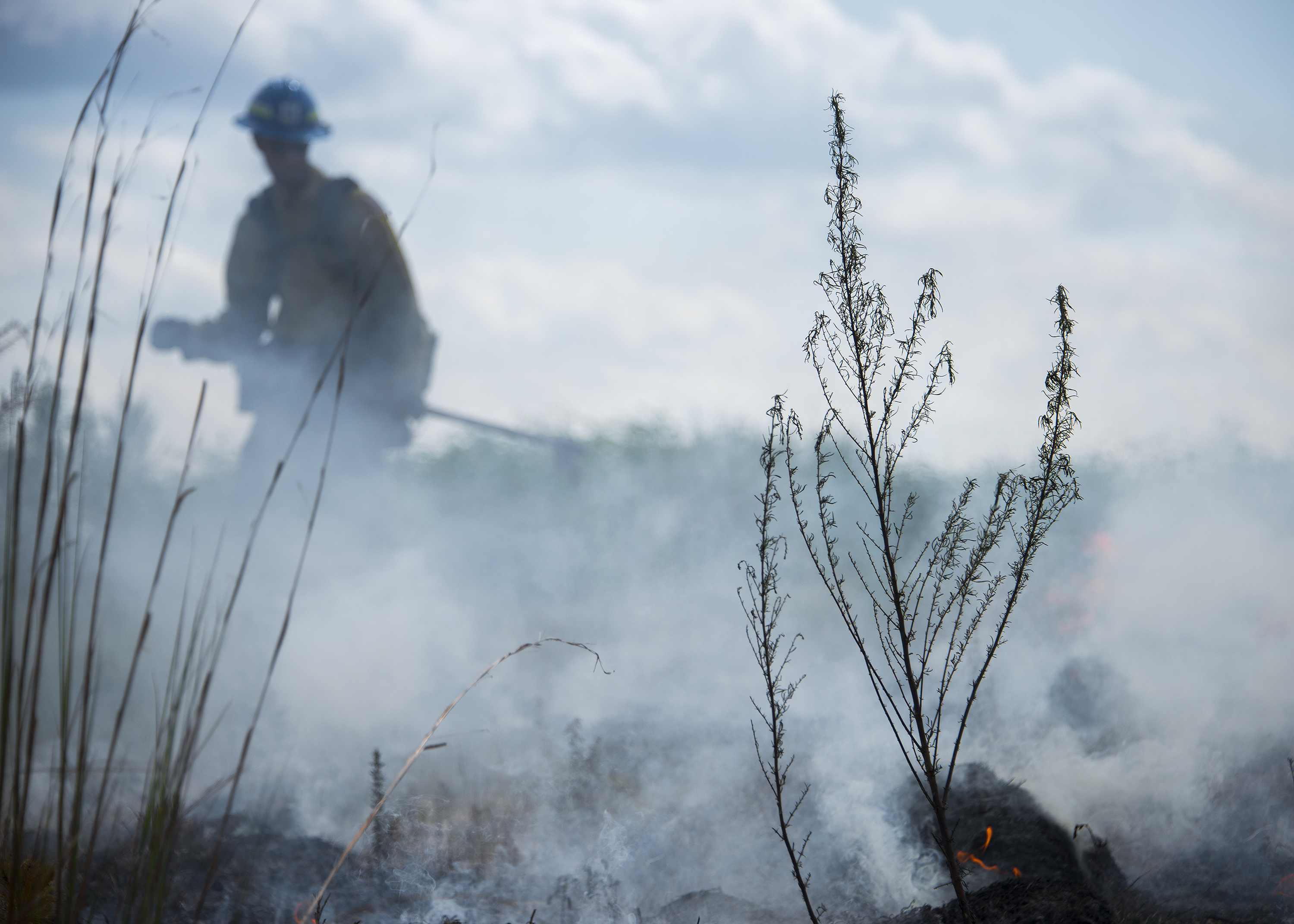 Jackson Guard maintains Eglin's natural resources > Eglin Air Force