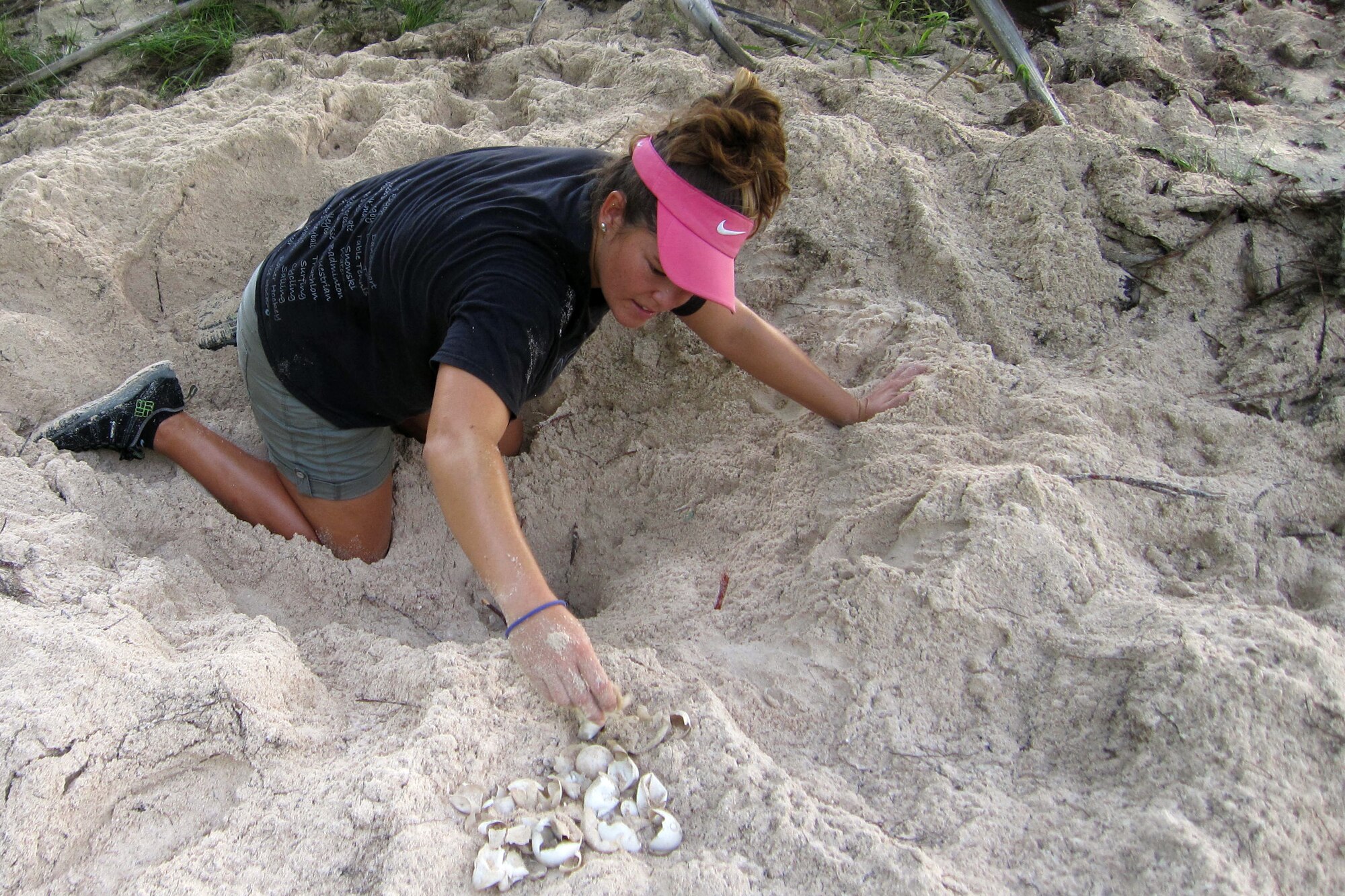 Marylou Staman inventories a nest in the Tarague Basin June 25, 2014, on Andersen Air Force Base, Guam. Staman and a scientific research team monitor the nests daily and inventory them afterward by counting leftover eggshells to determine how many hatchlings emerged. Staman is a University of Guam Sea Turtle Monitoring, Protection and Educational Outreach on Guam project manager. (Courtesy photo)