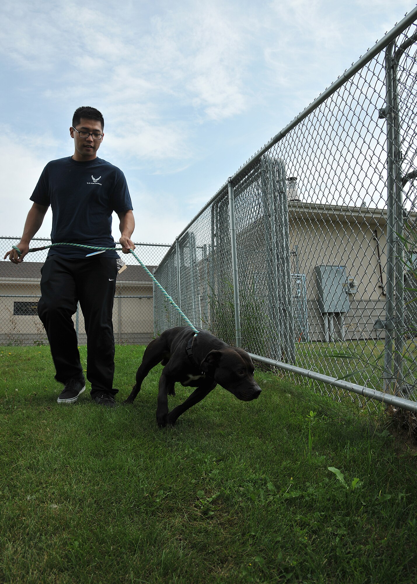 Airman 1st Class Namhoon Kim, 319th Logistics Readiness Squadron customer support apprentice, walks Pharrell, a pit bull terrier, at the Circle of Friends Humane Society Aug. 9, 2014, in Grand Forks, N.D. Kim volunteers his time on Saturdays by walking the dogs, cleaning up after them and keeping them company. (U.S. Air Force photo/Senior Airman Xavier Navarro)