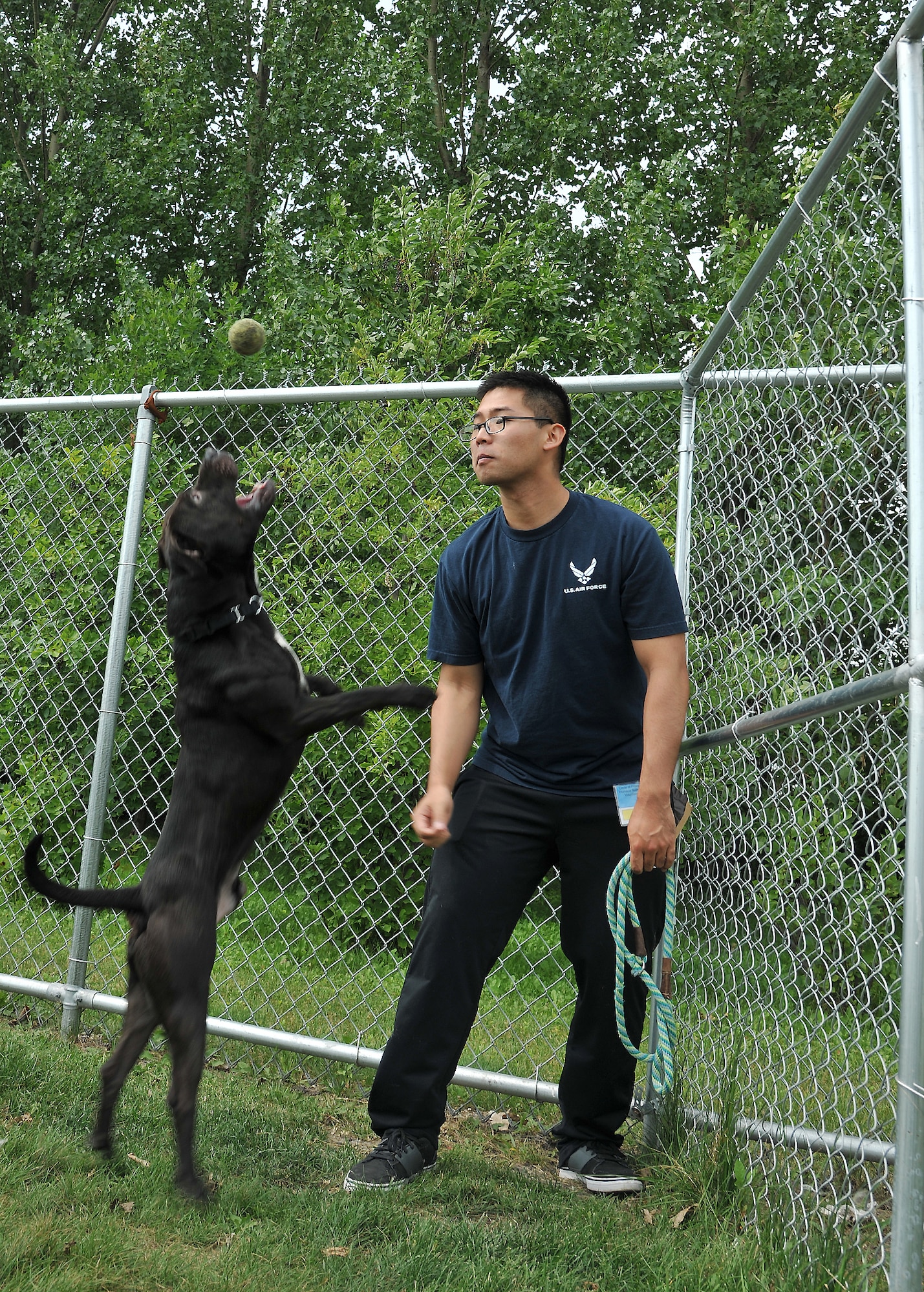 Airman 1st Class Namhoon Kim, 319th Logistics Readiness Squadron customer support apprentice, plays catch with Pharrell, a pit bull terrier, at the Circle of Friends Humane Society Aug. 9, 2014, in Grand Forks, N.D. The local animal shelter has between 30 and 40 dogs, but also takes in cats, rodents and reptiles. (U.S. Air Force photo/Senior Airman Xavier Navarro)