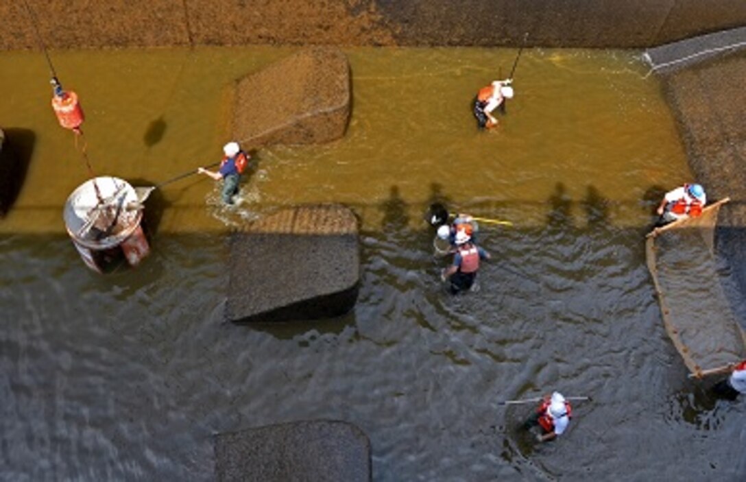 US Army Corps of Engineers and Kentucky Department of Fish and Wildlife personnel remove fish from the Nolin River Lake stilling basin during a stilling basin dewatering on August 5th.  The fish were moved downstream with a crane, utilizing the concrete bucket shown in the photo.  Moving the fish made inspections easier and decreased fish mortality.  