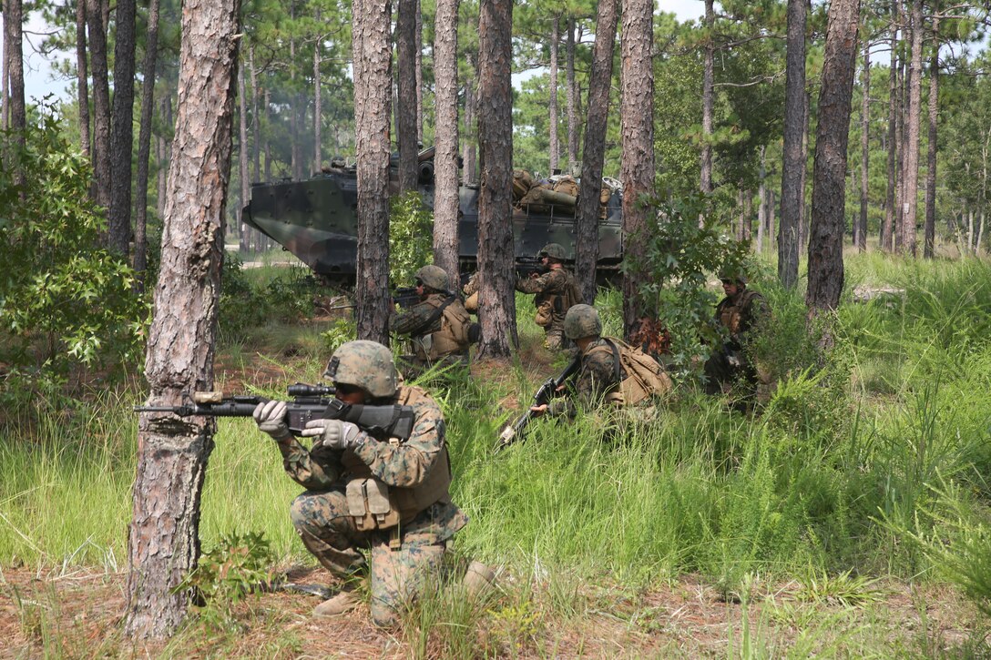 Marines with 1st Battalion, 24th Marine Regiment, form a line after exiting the back of an assault amphibious vehicle during an assault on a simulated enemy town Aug. 17, 2014, aboard Camp Lejeune, N.C., during exercise Heavy Metal 14. Throughout the exercise, infantry units trained alongside AAVs to become familiar with its movements and capabilities.