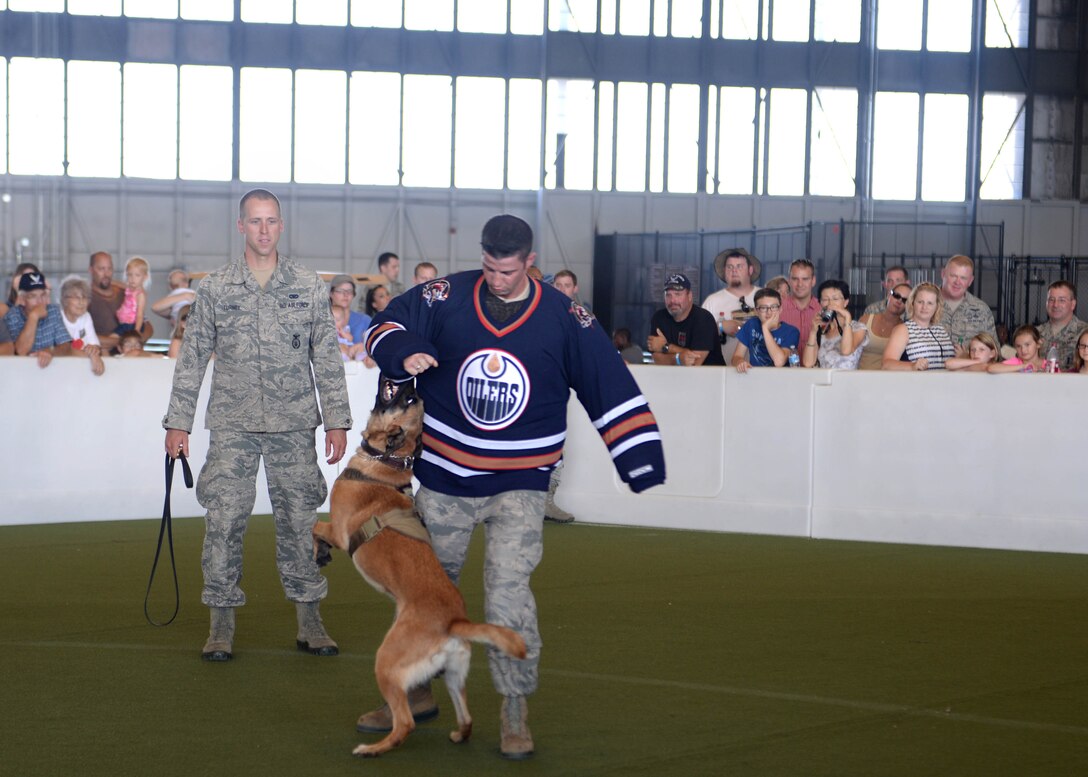 Staff Sgt. Brian Turney (left), 28th Security Forces Military Working Dog handler, performs a MWD demonstration with his dog, Nnicholas, and Staff Sgt. John Whisman, 28th SFS MWD trainer, during Ellsworth’s Black Hills Community Appreciation Day, Aug. 16, 2014. During the demo, Carpenter showed spectators various capabilities the dogs posses, all aimed at accomplishing the unique mission of the MWD teams. (U.S. Air Force Photo by Airman 1st Class Rebecca Imwalle/ Released)