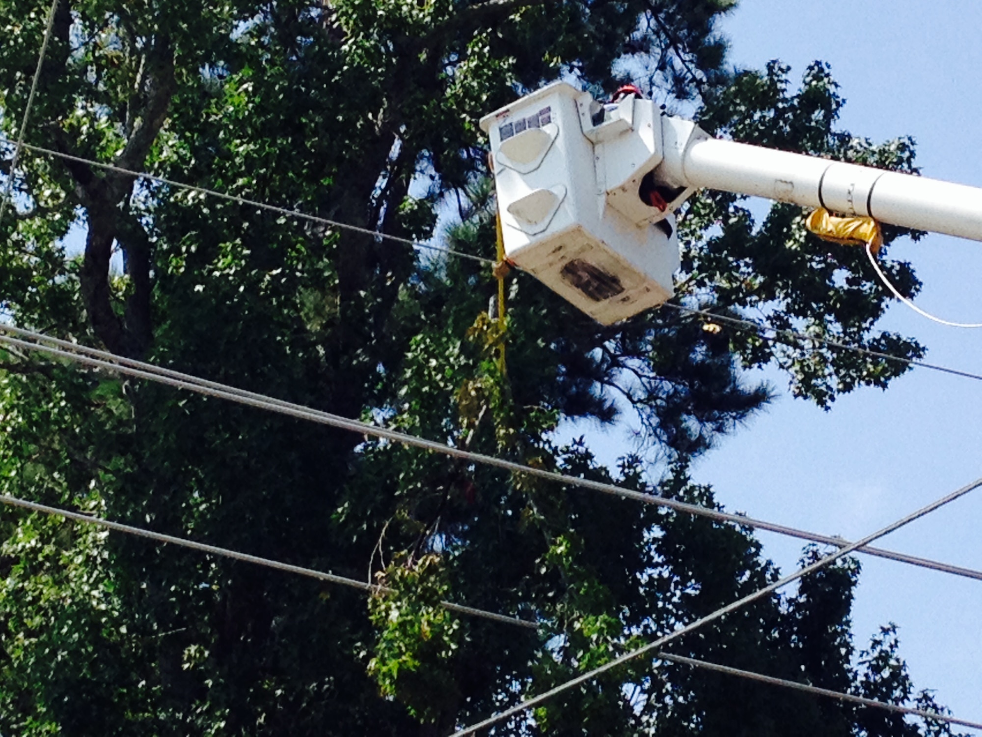 Frank Delgado, 20th Civil Engineer Squadron electrician, removes a broken tree branch from a power line on Shaw Air Force Base, S.C., Aug. 18, 2014. The broken tree branch caused a base wide power outage for about an hour-and-a-half. (U.S. Air Force photo by Lt. Col. Joseph Rodriguez/Released)