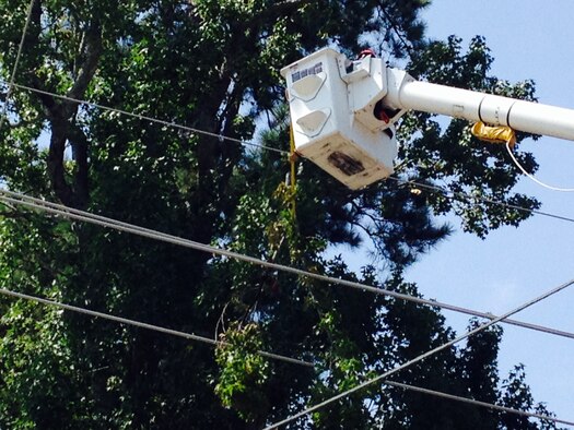 Frank Delgado, 20th Civil Engineer Squadron electrician, removes a broken tree branch from a power line on Shaw Air Force Base, S.C., Aug. 18, 2014. The broken tree branch caused a base wide power outage for about an hour-and-a-half. (U.S. Air Force photo by Lt. Col. Joseph Rodriguez/Released)