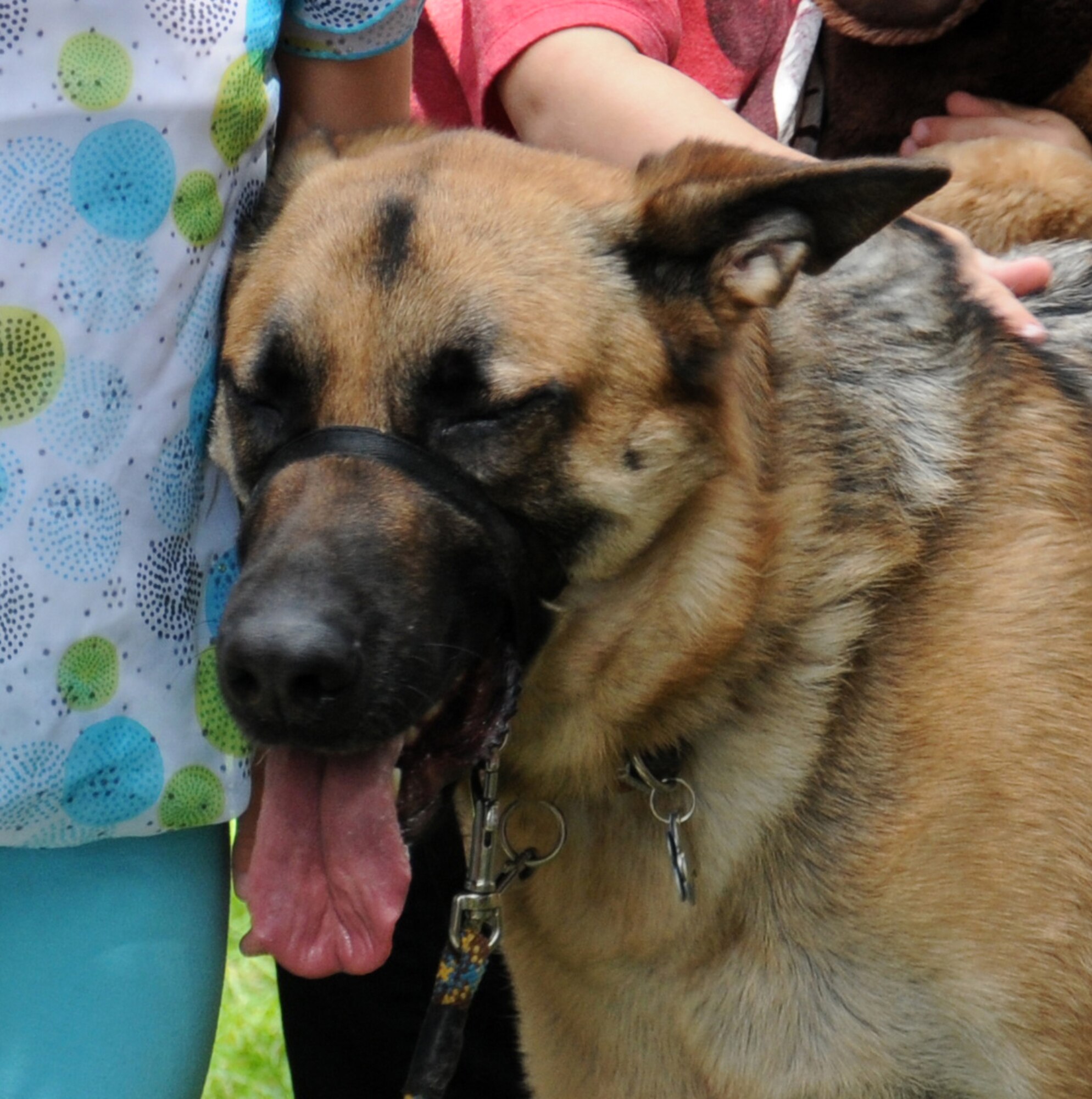 Syn, a family pet belonging to a Team Mildenhall member, rests his head on a Team Mildenhall child during a “Paws to Read” pet parade and costume contest Aug. 13, 2014, at the library on RAF Mildenhall, England. The children met dogs and walked with them, then enjoyed pizza and prizes. (U.S. Air Force photo/Gina Randall/Released)
