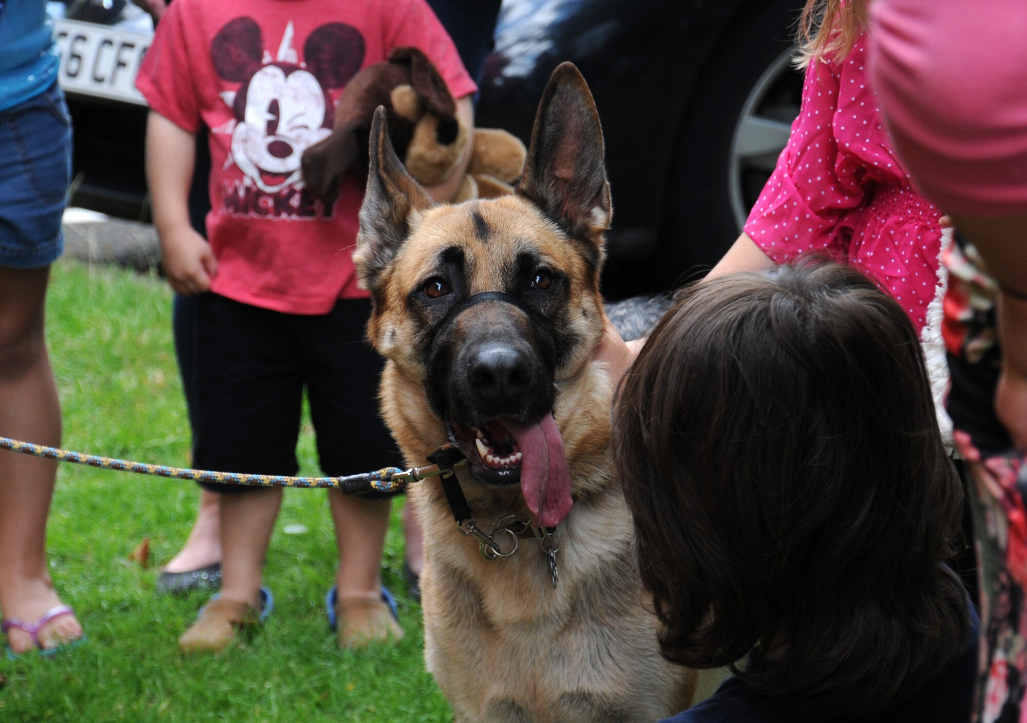 Syn, a family pet belonging to a Team Mildenhall member, meets Team Mildenhall children during a “Paws to Read” pet parade and costume contest Aug. 13, 2014, at the library on RAF Mildenhall, England. The children met dogs and walked with them, then enjoyed pizza and prizes. (U.S. Air Force photo/Gina Randall/Released)