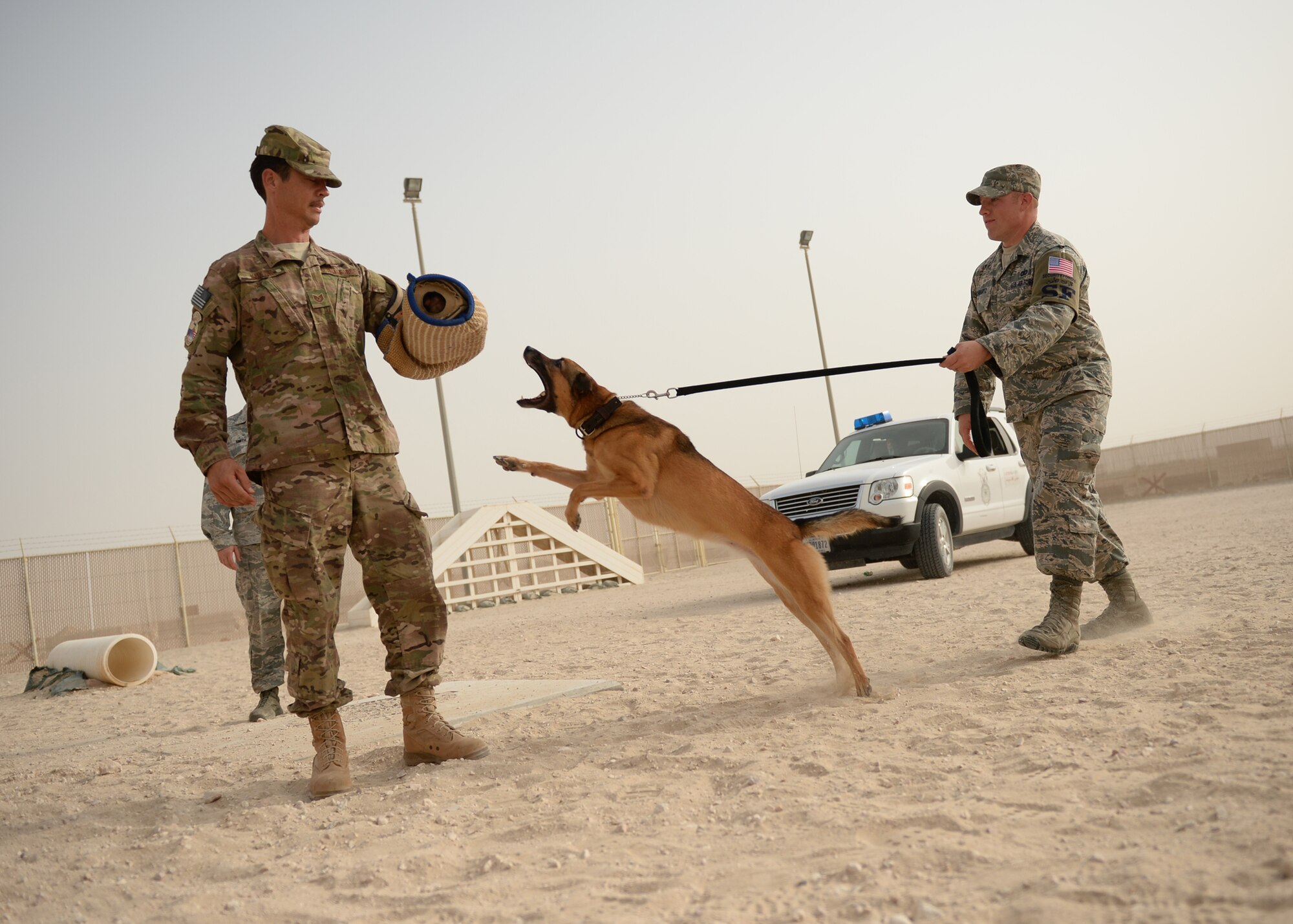 Tech. Sgt. John Kukan, U.S. Air Forces Central Band Starlifter guitarist, takes a bite from military working dog Robby during a show of force demonstration by the 379th Expeditionary Security Forces Squadron, Aug. 18, 2014, Al Udeid Air Base, Qatar. The demonstration was a first for the entire band. (U.S. Air Force photo by Staff Sgt. Shawn Nickel/Released)