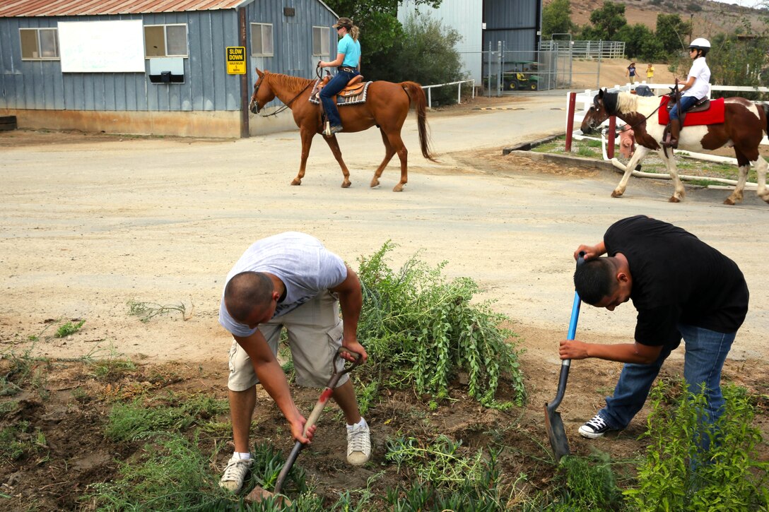 Marines with 1st Maintenance Battalion, aide the Stepp Stables by volunteering here, Aug. 20.

According to Cpl. Richard Carabello, heavy equipment mechanic with 1st Maintenance Battalion, every two weeks Marines from 1st Maintenance Bn. volunteer in order to improve the Corps and Community around them.
