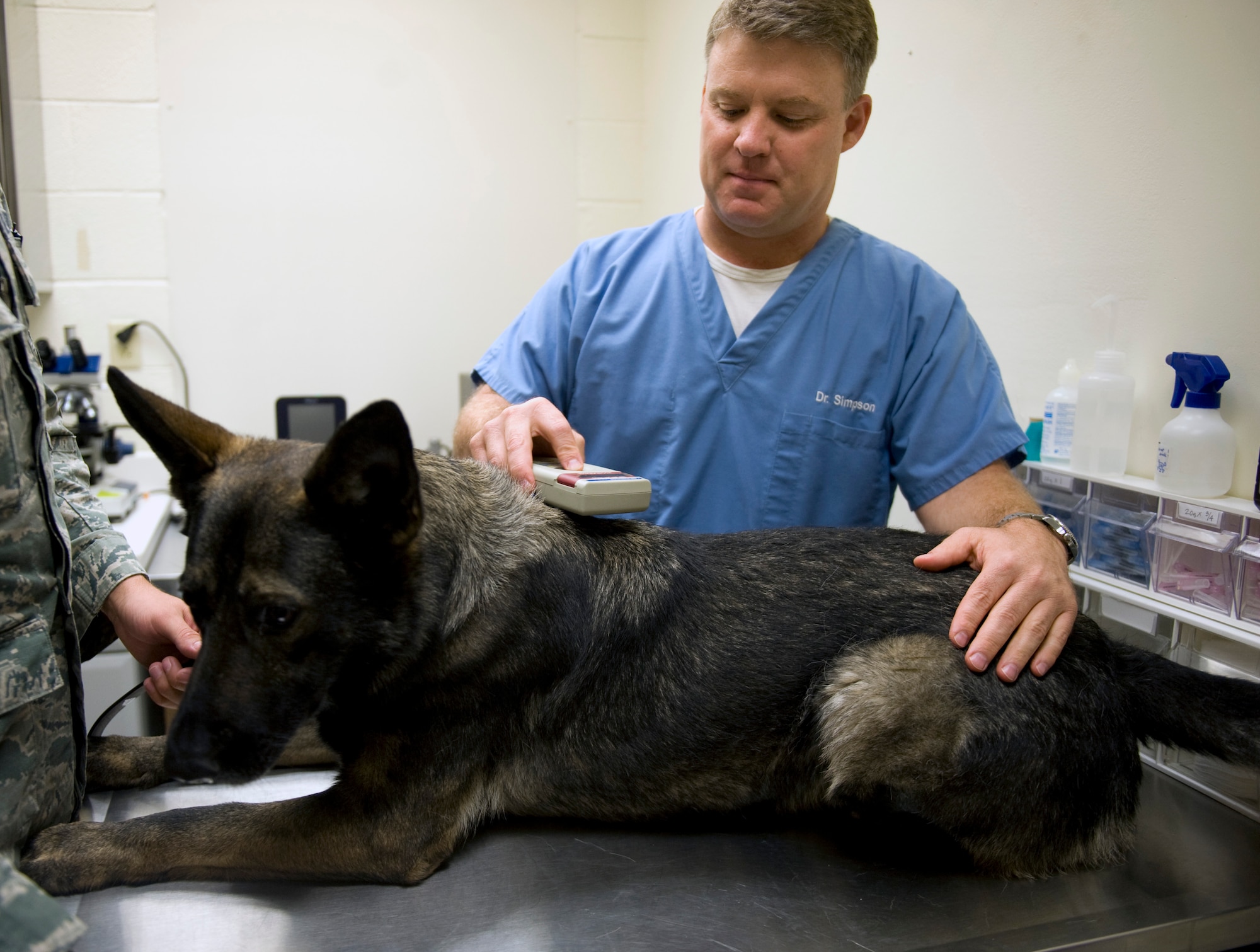 Dr. Michael Simpson, a Department of Army Civilian Veterinary medical officer, scans ‘P.J.,’ a military working dog, for a microchip number at the Nellis Veterinary Treatment Facility at Nellis Air Force Base, Nev., Aug. 20, 2014. Military working dogs are required to have microchips due to frequent international travel. (U.S. Air Force photo by Airman 1st Class Mikaley Towle)