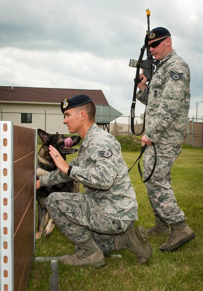 Staff Sgt. Christopher Averill, 5th Security Forces Squadron military working dog trainer, demonstrates defensive positioning for Staff Sgt. Tim Glover, 5th SFS MWD handler, and MWD Roko during weapon training on Minot Air Force Base, N.D., July 29, 2014. Averill stated seeing handlers build trust with their K-9s and accomplish things they at first believed were insurmountable is what gives him pride in his job as a trainer. “Seeing a team perform a search or conquer an obstacle that they couldn’t before is very rewarding,” said Averill. “It lets me know that what I do really does make a difference.” (U.S. Air Force photo/Senior Airman Stephanie Morris)