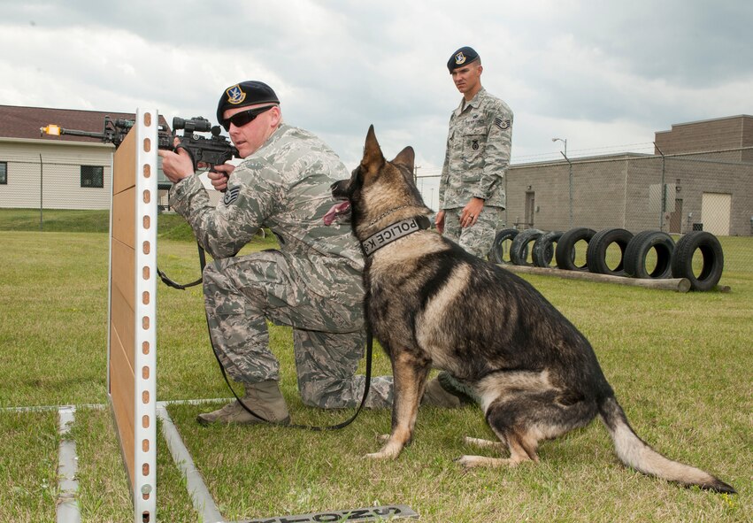 Staff Sgt. Tim Glover, 5th Security Forces Squadron MWD handler, gives his MWD Roko the command ‘stay,’ as Staff Sgt. Christopher Averill, 5th SFS MWD trainer, observes weapons training on Minot Air Force Base, N.D., July 29, 2014. During training, Averill watched as Glover used blank rounds to test Roko’s reaction to the sound of gunfire and assessed Roko’s ability to obey commands in a stressful environment. (U.S. Air Force photo/Senior Airman Stephanie Morris)