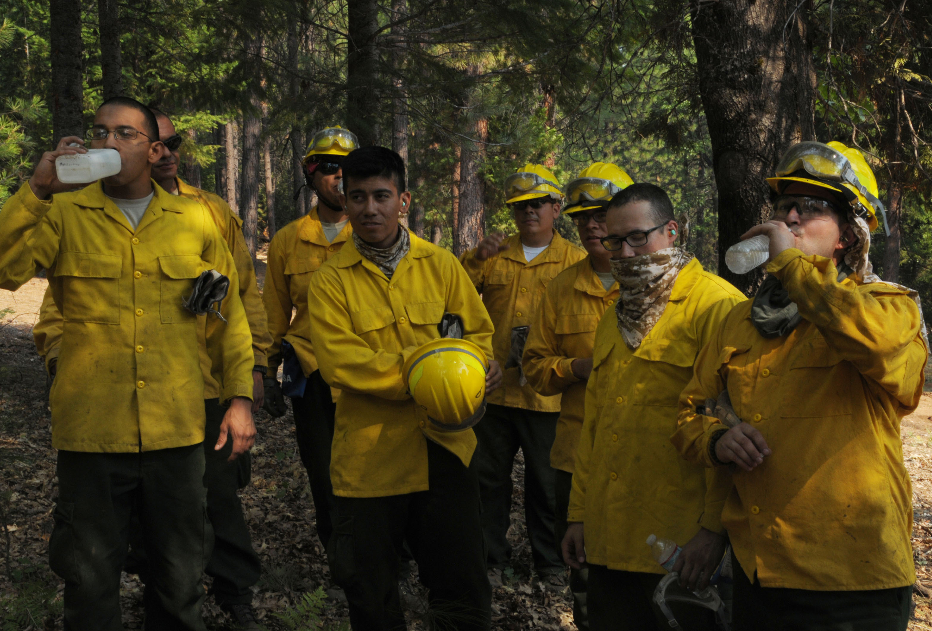 Lapland Wildfires: A Look At The Helicopter'S Crucial Role In Fighting The Blazes! - qp36pqk