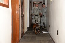 Staff Sgt. Caleb Smith, 822d Base Defense Squadron military working dog handler, directs Celo, MWD, as they search for a person inside of a building Aug. 20, 2014, at Moody Air Force Base, Ga. The MWD handlers placed several distractions to aid in training the dog to look for specific scents. (U.S. Air Force photo by Staff Sgt. Eric Summers Jr./Released)