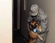 U.S. Air Force Staff Sgt. Richmond Chung, 822d Base Defense Squadron military working dog handler, pets and hugs his MWD, DiYi, after he identified an explosive substance Aug. 20, 2014, at Moody Air Force Base, Ga. Handlers and MWDs spend numerous hours perfecting their capabilities and building a bond with each other. (U.S. Air Force photo by Staff Sgt. Eric Summers Jr./Released)