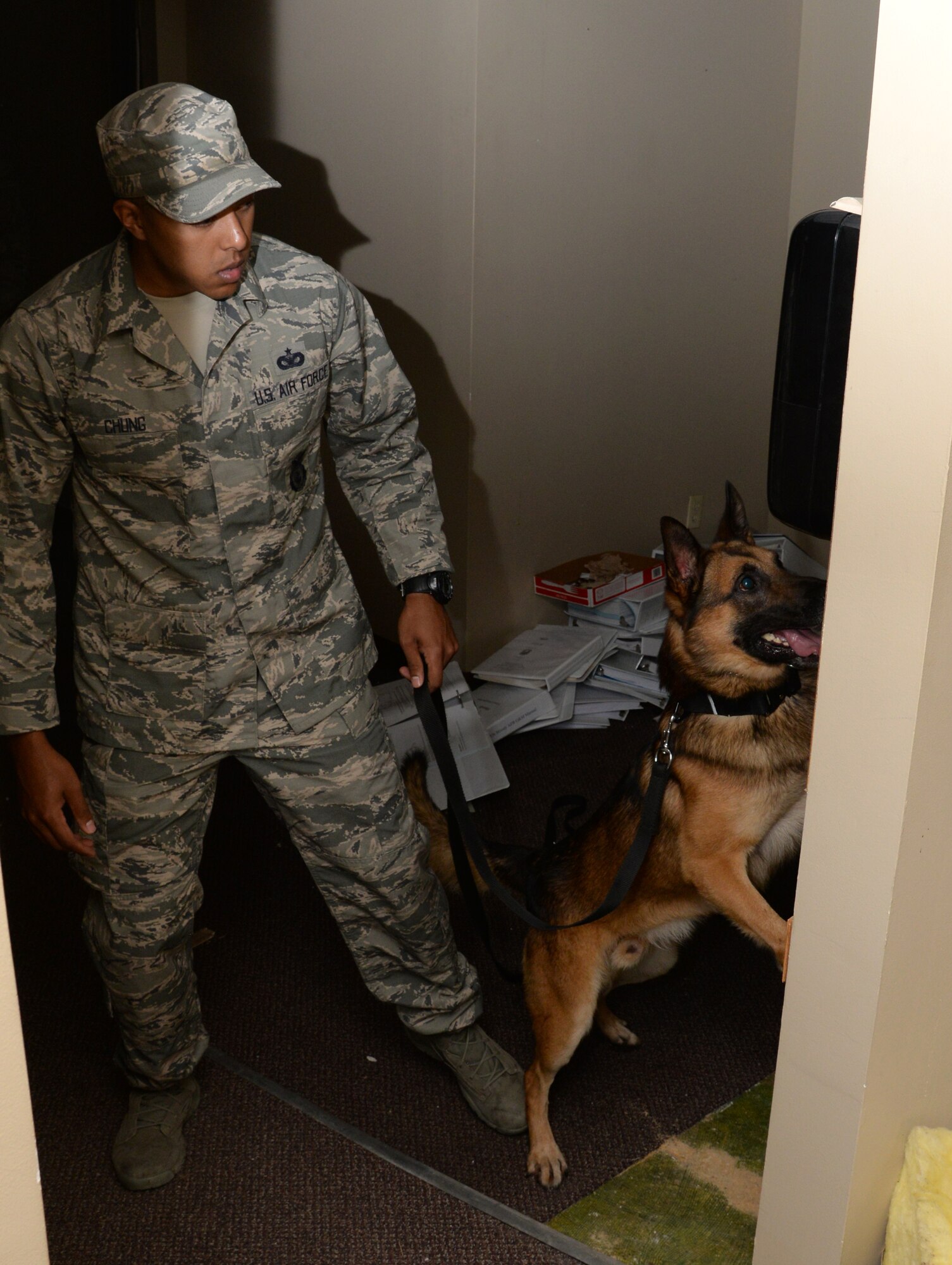 Military working dog, DiYi, signals that explosive materials are nearby to his handler U.S. Air Force Staff Sgt. Richmond Chung, 822nd Base Defense Squadron MWD handler Aug. 20, 2014, at Moody Air Force Base, Ga. MWD handlers spend between three to six months training K-9s for certification. (U.S. Air Force photo by Staff Sgt. Eric Summers Jr./Released)