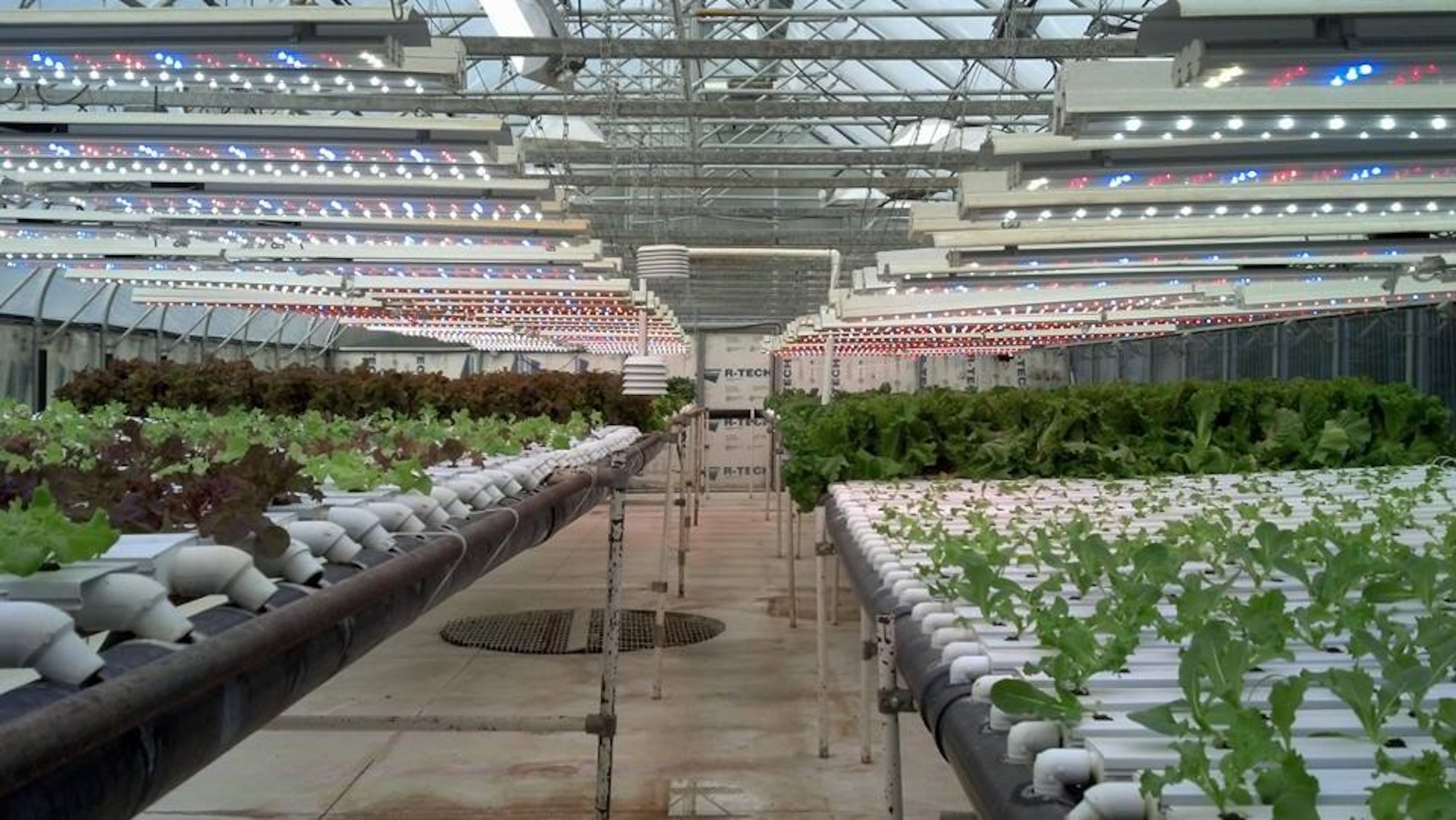 In the photo is the furthest north year-round production greenhouse according to Bernie Karl, director of the Chena Hot Springs resort. "When it's negative fifty degrees outside at Chena Hot Springs, Alaska, we're still growing lettuce, tomatoes and other various crops in our temperature-controlled greenhouse,” Karl said. Alaskan Command servicemembers along with Sen. Lisa Murkowski and Secretary of Energy Dr. Ernest Moniz attended the 9th Annual Alaska Renewable Energy Fair and the Alaska Center for Energy and Power Aug. 17 to learn more about renewable energy research and needs in Alaska. (U.S. Air Force photo by Maj. Jennifer Lovett)