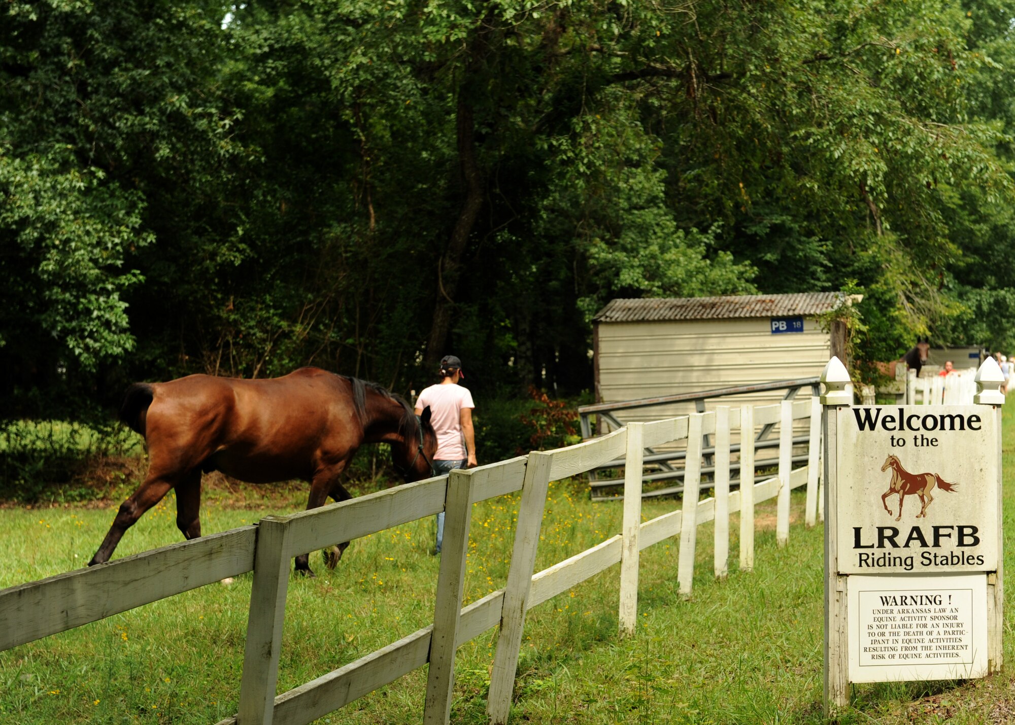 Joni Beratto walks a horse named Junior for exercise Aug. 9, 2014, at Little Rock Air Force Base, Ark. The riding stables can accommodate up to 45 horses. (U.S. Air Force photo by Airman 1st Class Scott Poe) 