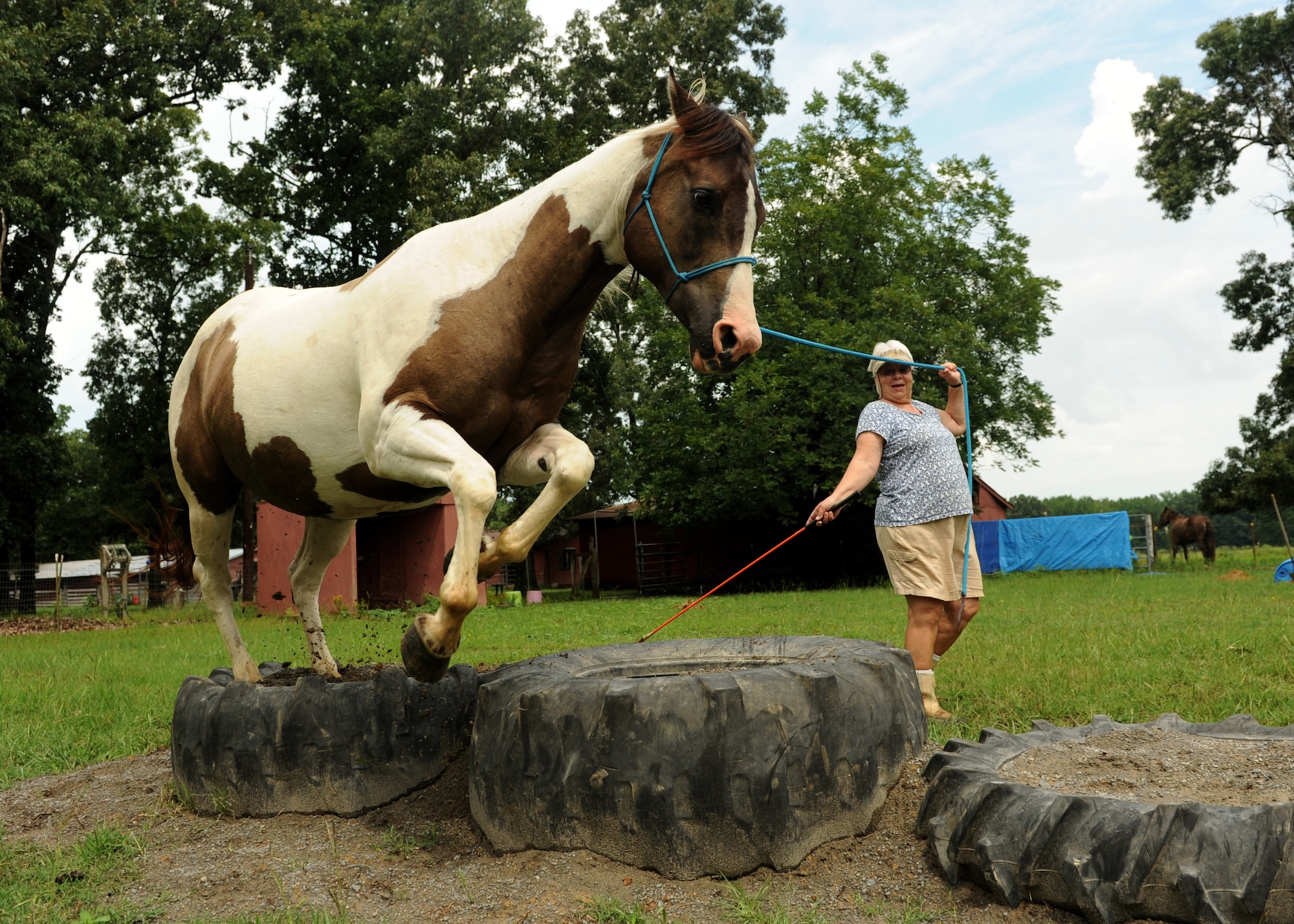 Kathy Tatus takes her horse Trutti, through an obstacle course Aug. 9, 2014, at Little Rock Air Force Base, Ark. The riding stables are open for active-duty, retirees and spouses of Team Little Rock. (U.S. Air Force photo by Airman 1st Class Scott Poe)