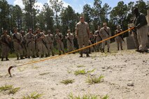 Marines from Combat Logistics Battalion 2, 2nd Marine Logistics Group, pay close attention as counter-IED instructor and retired Marine Corps Master Sgt. David Slay demonstrates how to use a holley stick to find loose wires, bombs, or battery packs underground August 19, 2014 in Holly Ridge, North Carolina.  The holley stick, comprised of a 15-foot pole with a sicle head attached, was named after it's inventor, Explosive Ordinance Technician Gunnery Sgt. Floyd C. Holley.  "To date, no Marines have been killed using the holley stick," said counter-IED instructor Travis Hiller.