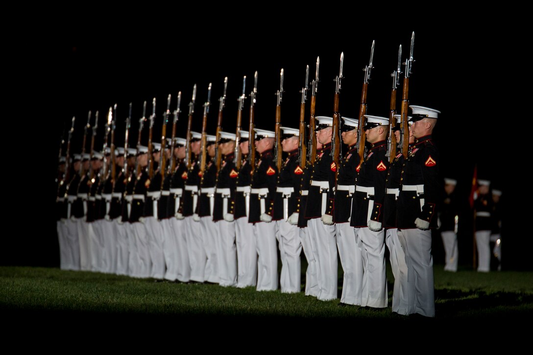 140822-M-XG913-088

The Marine Corps Silent Drill Platoon performs during a Friday Evening Parade at Marine Barracks Washington, D.C., Aug. 22. (Official Marine Corps photo by Cpl. Larry Babilya/Released)