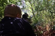 Corporal Matthew A. Bragg, a motor vehicle operator with Transportation Support Company, Combat Logistics Battalion 6, 2nd Marine Logistics Group lies in wait for a convoy while role-playing an enemy combatant during a field exercise aboard Marine Corps Base Camp Lejeune, N.C., Aug. 20, 2014. The company held a nearly week-long field exercise to build teamwork and ensure the Marines maintain a field-oriented mindset prior to the unit’s upcoming mountain warfare training.