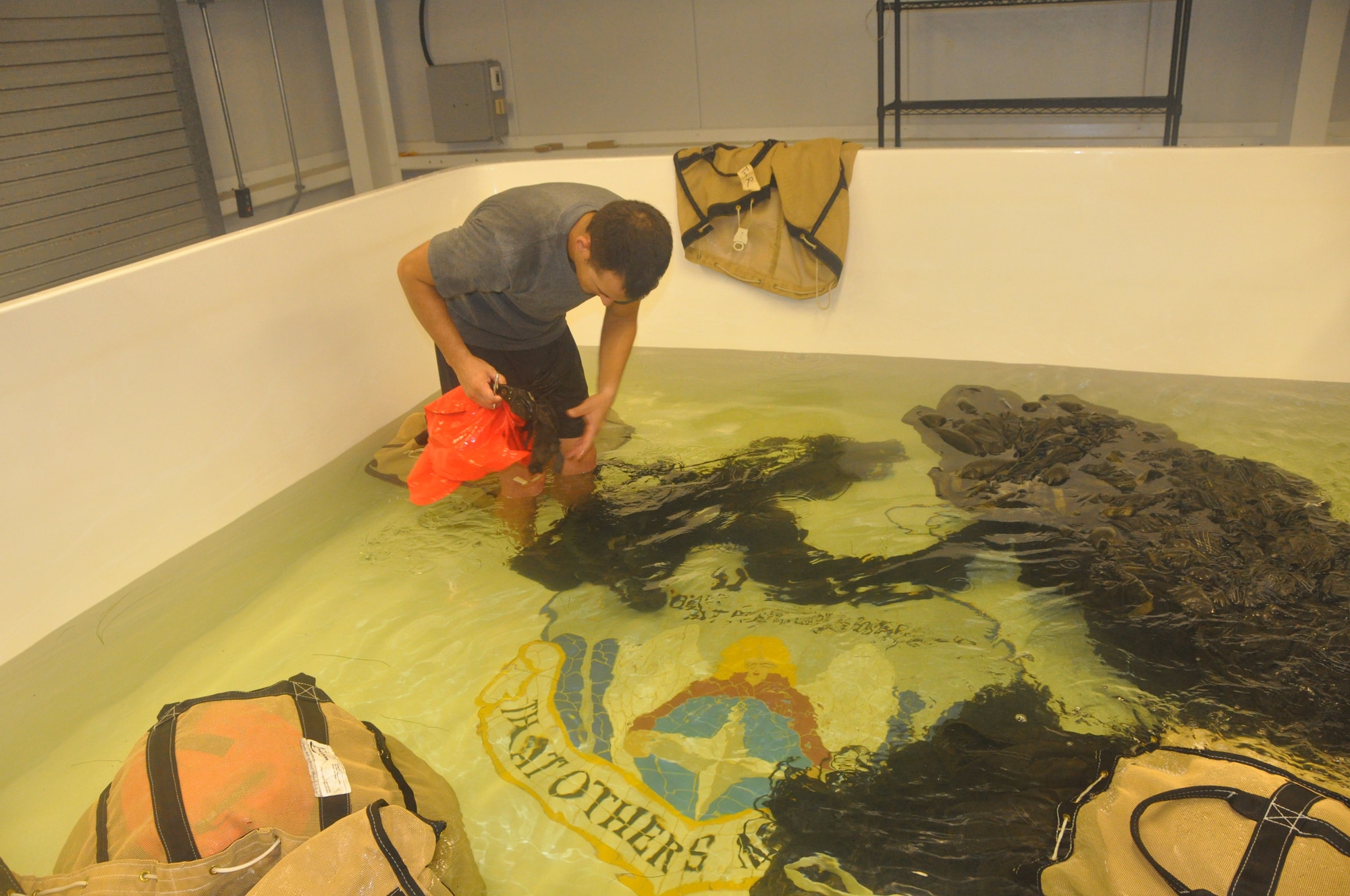 Technical Sergeant Brian Pajor, an aircrew flight equipment craftsman for the 308th Rescue Squadron, rinses a parachute in fresh water, August 19, 2014 at Patrick Air Force Base, Fla. Reserve AFE specialists from the 308 RQS, pack, maintain and inspect parachutes and package cargo to be dropped from aircraft. (U.S. Air Force photo/ Tech. Sgt. Katie Spencer)