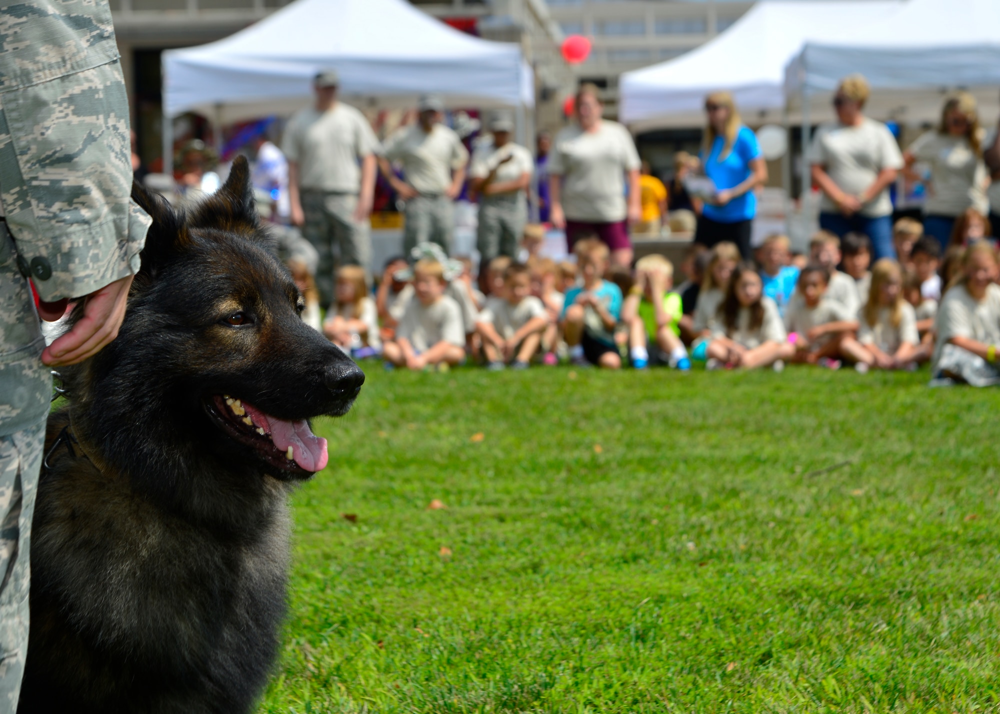 “Terry”, 436th Security Forces Squadron military working dog, sits beside his handler, Staff Sgt. Andrew Bowen, 436th SFS MWD handler, during a demonstration Aug. 20, 2014, at the Youth Center on Dover Air Force Base, Del. Bowen and “Terry” showed off some of the capabilities of the 436th SFS military working dogs to children during Operation KUDOS, Kids Understanding Deployment Operations. (U.S. Air Force photo/Airman 1st Class William Johnson)