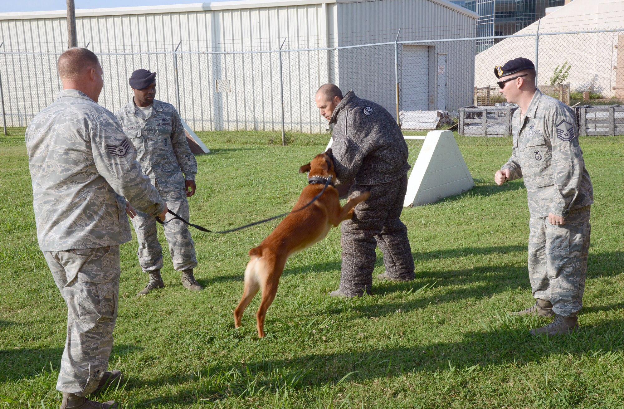 Military Working Dog Eelijah, with handler Staff Sgt. Dwight Veon of the 72nd Security Forces Squadron, does a practice attack on 72nd Mission Support Group Commander Col. Todd Vician to let him see what it feels like in the bite suit before they practice a full-on running attack later. Colonel Vician and 72nd MSG Deputy Commander Lt. Col. Gerald Yap visited the MWD Kennels last week for a tour of the facilities and a demonstration by the dogs and handlers. By participating in a demonstration themselves, they experience what training is like for the Security Forces team. Tech. Sgt. Dondrel Scott and Master Sgt. Nathan Nash were on hand to assure that everything went smoothly. (Air Force photo by Kelly White)